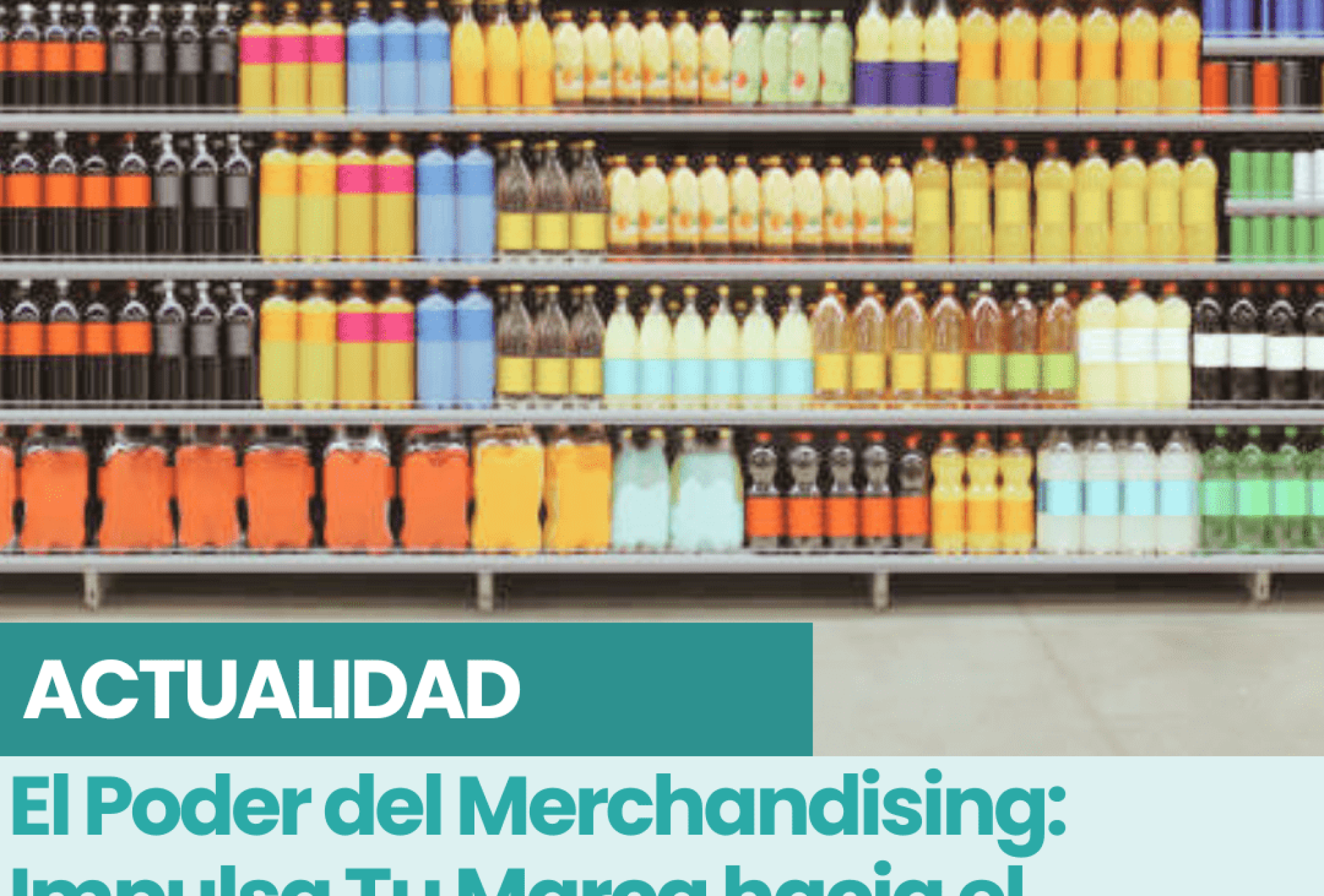 CANVA MERCHANDISING