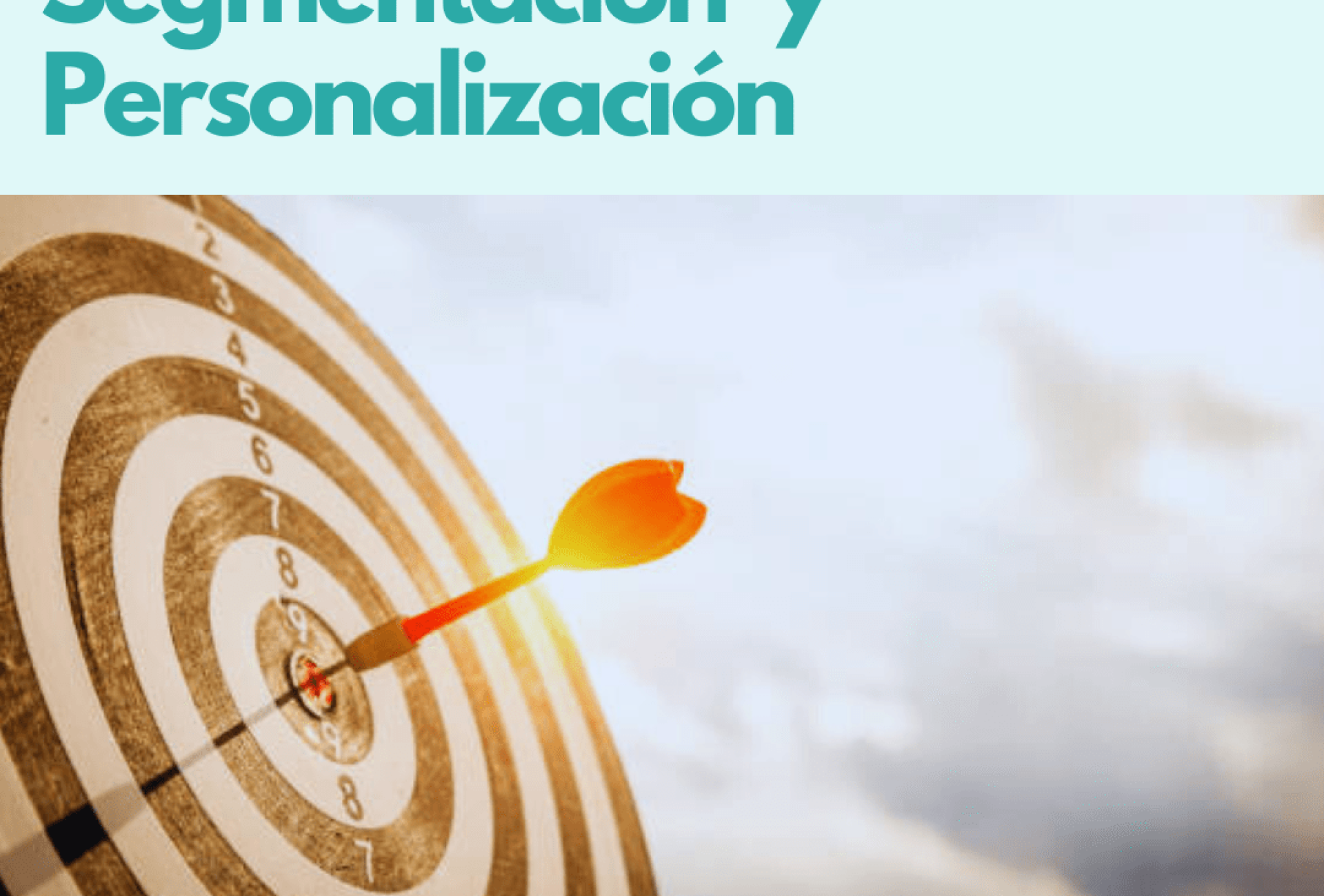 canva segmentacion